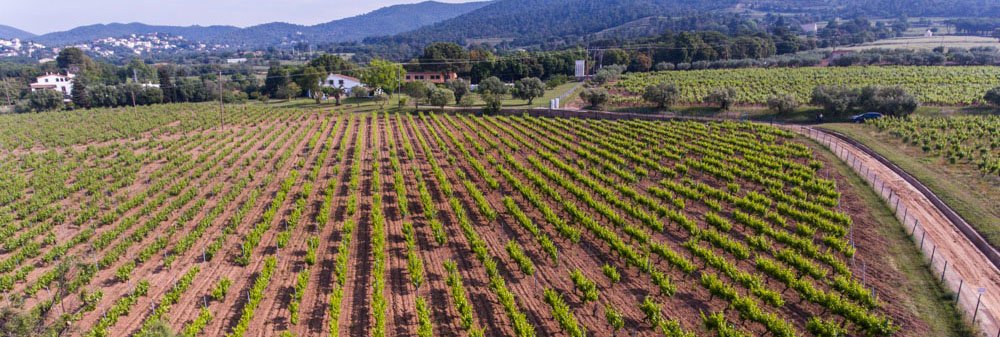 Celler Viníric
