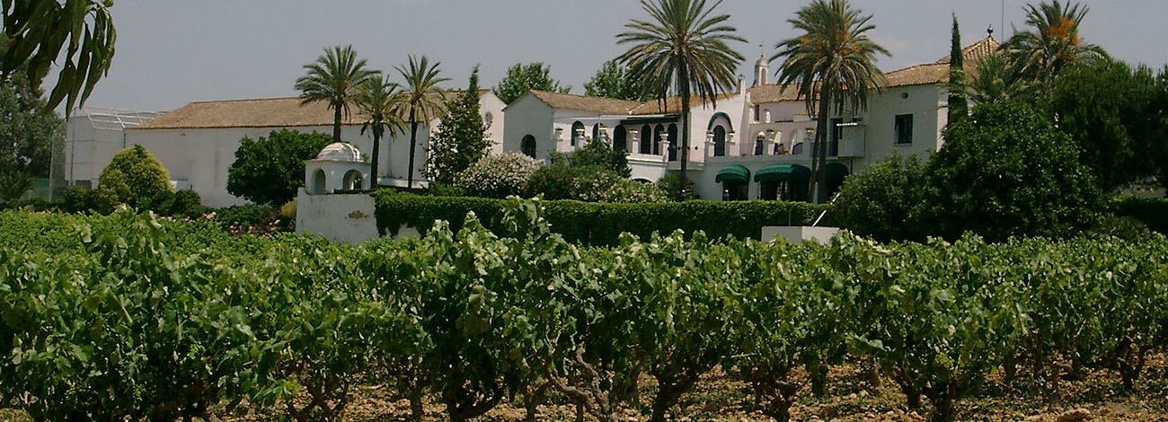 Finca Viladellops