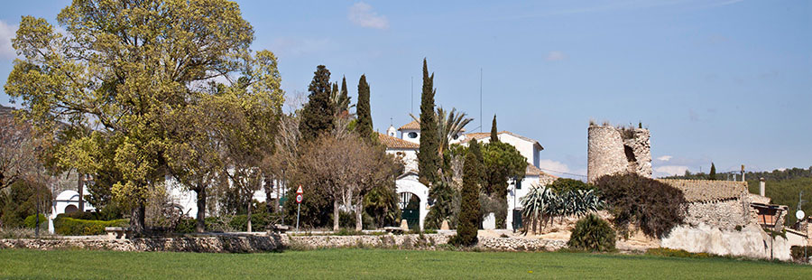 Finca Viladellops