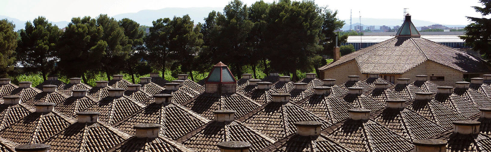 Bodegas Olarra