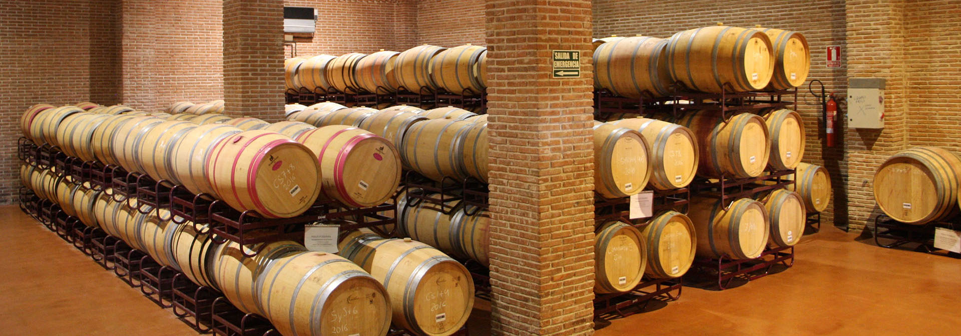 Dehesa del Carrizal